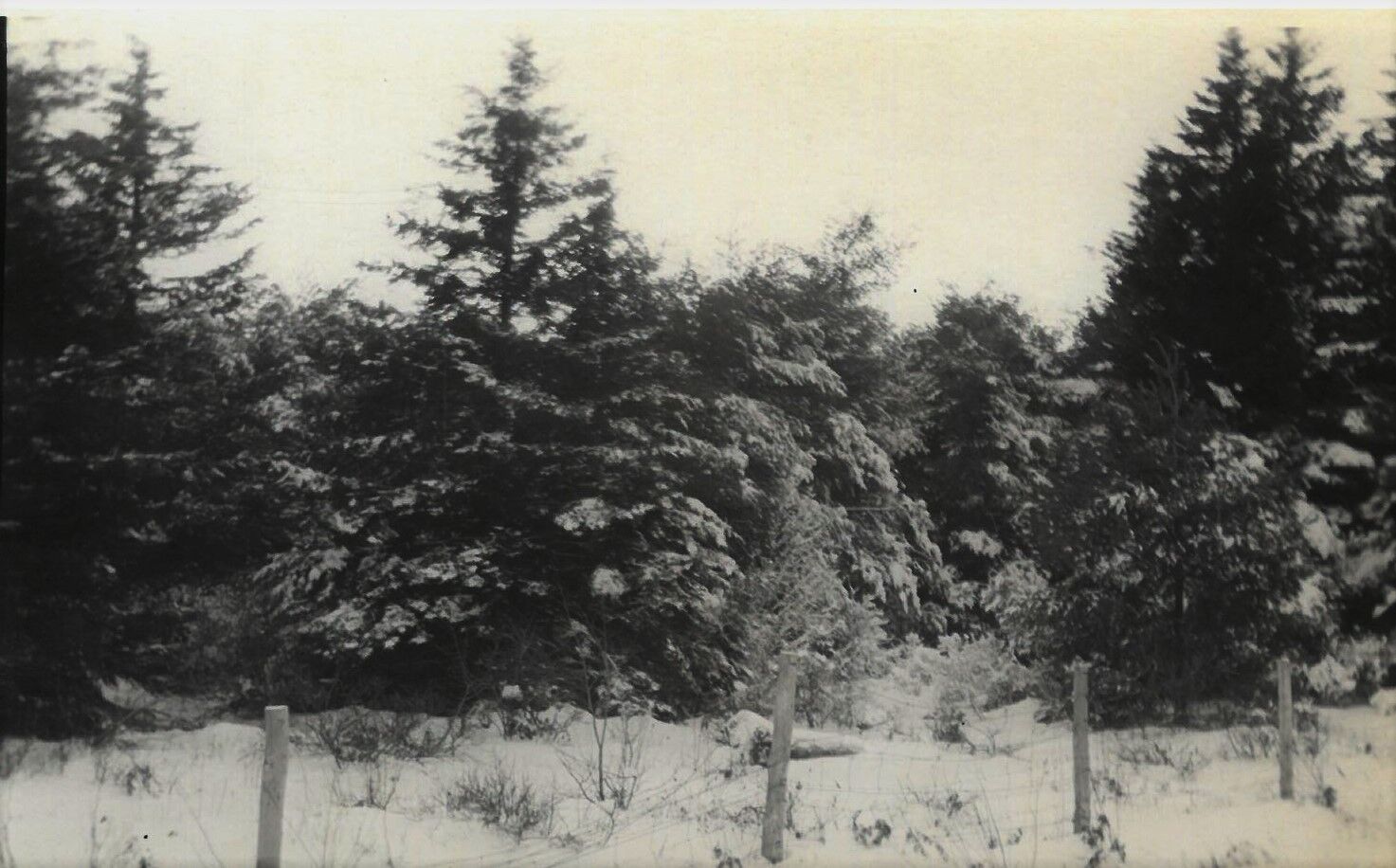 1920 snowstorm